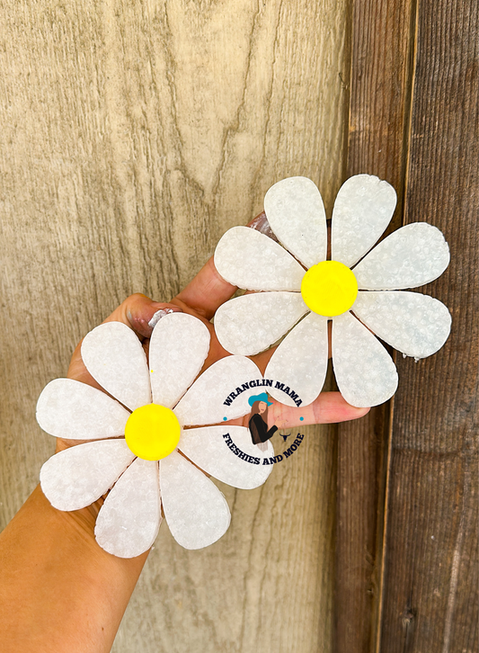 Daisy