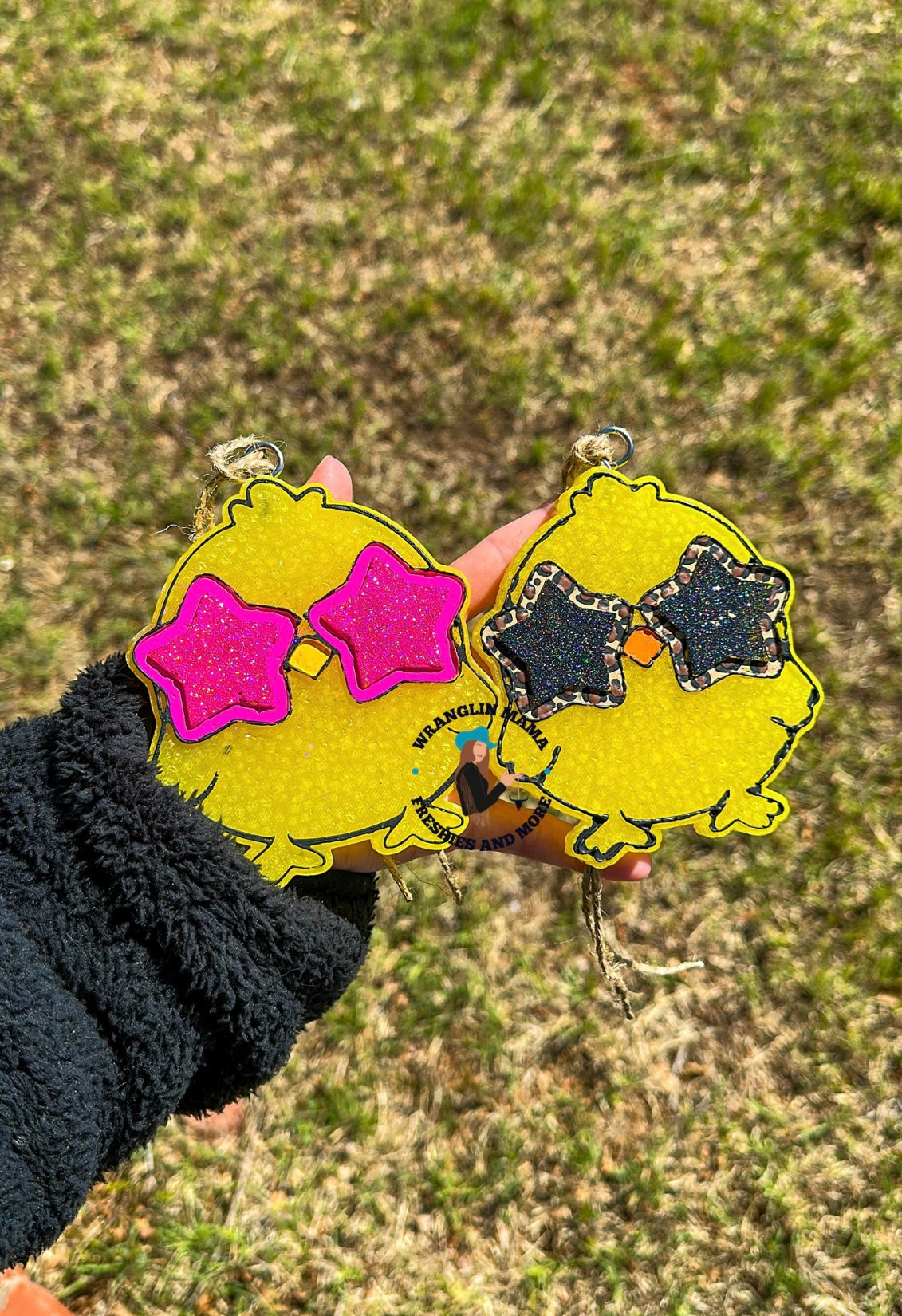Groovy Chicks